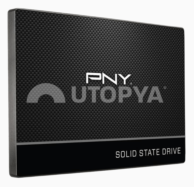 Disc dur - PNY SSD SATA 2.5'' CS900 (500Go)